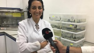 SIRADA KANSER İLACI VAR