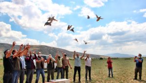 Kayseri'de 550 keklik doğaya salındı
