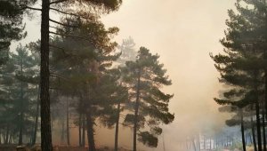 Kayseri'de orman yangını