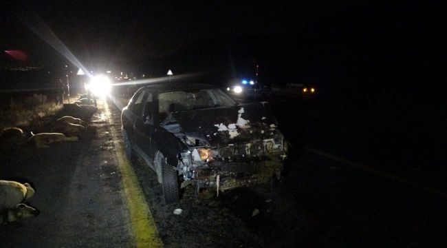 Kayseri'de sürüye dalan otomobilin sürücüsü yaralandı, 13 koyun telef oldu