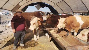 Kayseri'nin en büyük Kurban Pazarı müşterilerini bekliyor