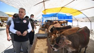 Kurban pazarlarında denetimler başladı