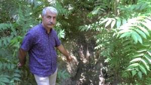 Muhtarın 'Tarih' feryadı