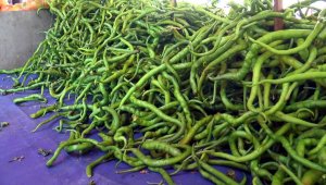 Pazarda zam şampiyonu domates ve biber oldu