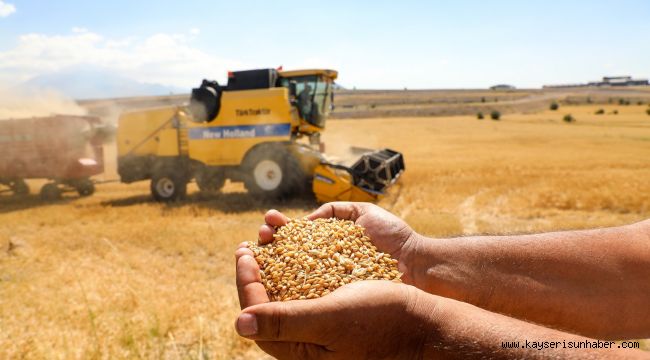 Talas'ta boş araziler tarıma kazandırılıyor