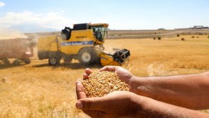 Talas'ta boş araziler tarıma kazandırılıyor