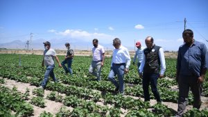 Yerli fasulye tohumu çiftçilerin yüzünü güldürdü
