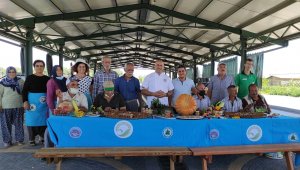 Büyükşehir'in Glütensiz Kafe'si hizmette