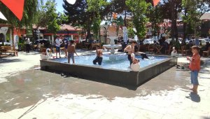 Hava sıcaklıkları artınca süs havuzuna koştular