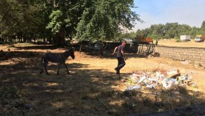 Kayseri İtfaiyesi yangın bölgesinde çalışmalarını sürdürüyor