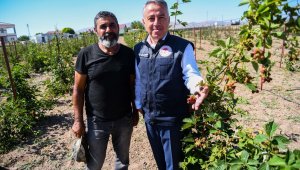 Kayseri'ye alternatif ürün; "Ahududu ve Böğürtlen Yetiştiriciliği"