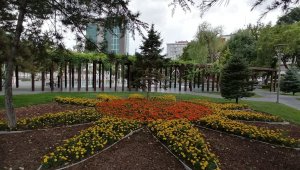 Büyükşehir, Eylül'ü rengarenk çiçeklerle karşıladı