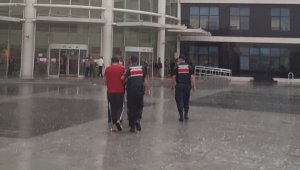 Ev fareleri jandarmadan kaçamadı