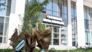 Kayserigaz, 'Daha Yeşil Bir Kayseri' için abonelerine fidan hediye etti