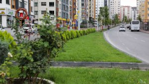 Talas'ta yollara önce refüj sonra ağaç