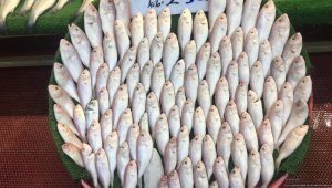 Yeni sezonda balıklar tezgahlardaki yerini aldı