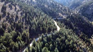 Develi - Adana bağlantı yolunda sona gelindi