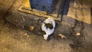 Ekiplerden kaçan otomobilde el bombası çıktı