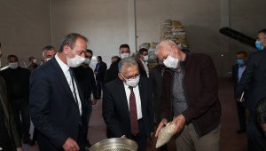 Erciyes'in eteklerinde kabak çekirdeği hasadı