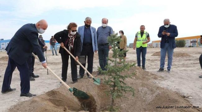 Kocasinan, ağaç dikimiyle geleceğe nefes oluyor