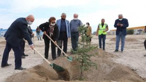 Kocasinan, ağaç dikimiyle geleceğe nefes oluyor