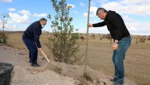 Talas'ta kırsal mahalle girişlerinde ağaç seferberliği