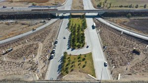 Büyükşehir; 15 bin fidanı toprakla buluşturdu