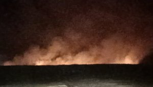 Sultan Sazlığı'nda yangın