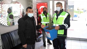 Talas Belediyesi'nden 2 bin 23 mavi ladin