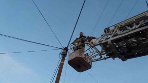 Telefon direğinde mahsur kalan kedinin yardımına itfaiye ekipleri koştu