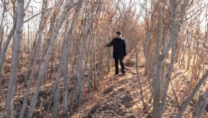 Kocasinan'da kuru yapraklar, organik gübreye dönüşüyor