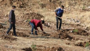 Yahyalılı gençler fidanları toprakla buluşturdu