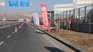 Yenilenen OSB yolunda ağaçlandırma çalışması yapıldı