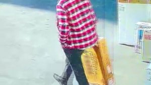 Hırsızın rahatlığı pes dedirtti