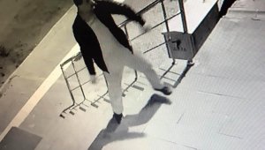 İncesu'da gece yarısı altı dükkanın camlarını taşla indiren şahıs yakalandı