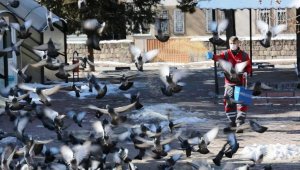 Kocasinan'dan kış mevsimi boyunca sokak ve yaban hayvanları için 13 ton yem