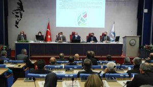 6 ilçe doğalgaza kavuşuyor