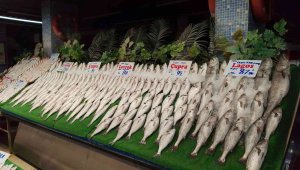 KDV indirimi balık tezgahlarına yansıdı