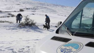 Sokak hayvanlarına mama bırakıldı