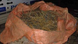 Tramvay inşaatından demir çalan şahıs yakalandı