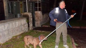 Kayseri'de pitbull evcil köpekleri parçalayacaktı