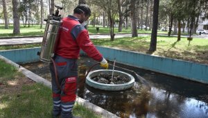Kocasinan Belediyesi, haşereyle mücadeleye başladı