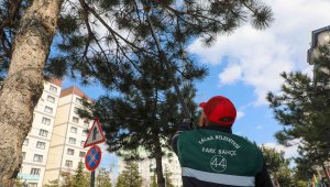 Talas Belediyesi "bahara merhaba" dedi