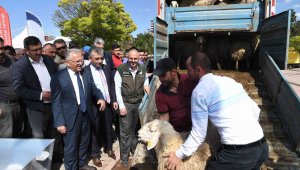 Başkan Büyükkılıç, 13 milyon TL'lik projede 3 bin 200 adet küçükbaş hayvan dağıttı