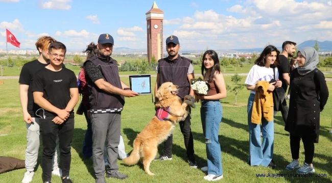 Jandarmanın kahraman köpekleri büyük beğeni topladı