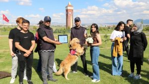 Jandarmanın kahraman köpekleri büyük beğeni topladı