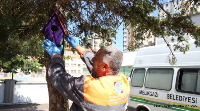 Öğrenciler ve Melikgazi Belediyesi, kuşları yuva sahibi yaptı