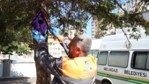 Öğrenciler ve Melikgazi Belediyesi, kuşları yuva sahibi yaptı