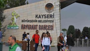 Ücretsiz hayvanat bahçesine yoğun ilgi
