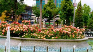 Büyükşehir belediyesinden 'En güzel bahçe' Yarışması